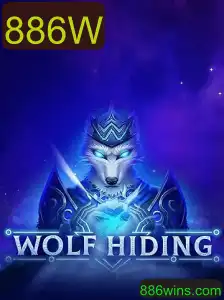 Explorando o Fascinante Mundo de WolfHiding